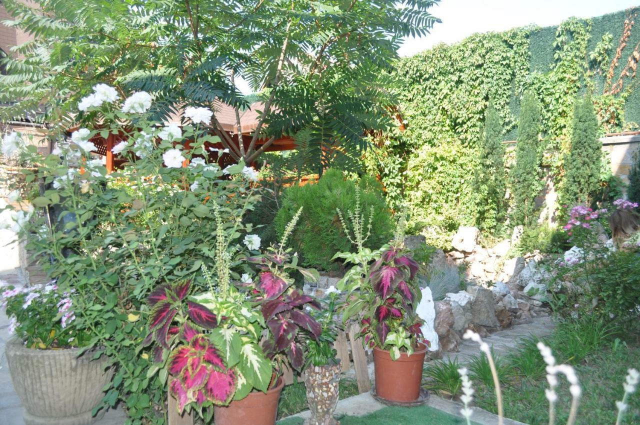 Каштел Pancevo Hotel Bagian luar foto